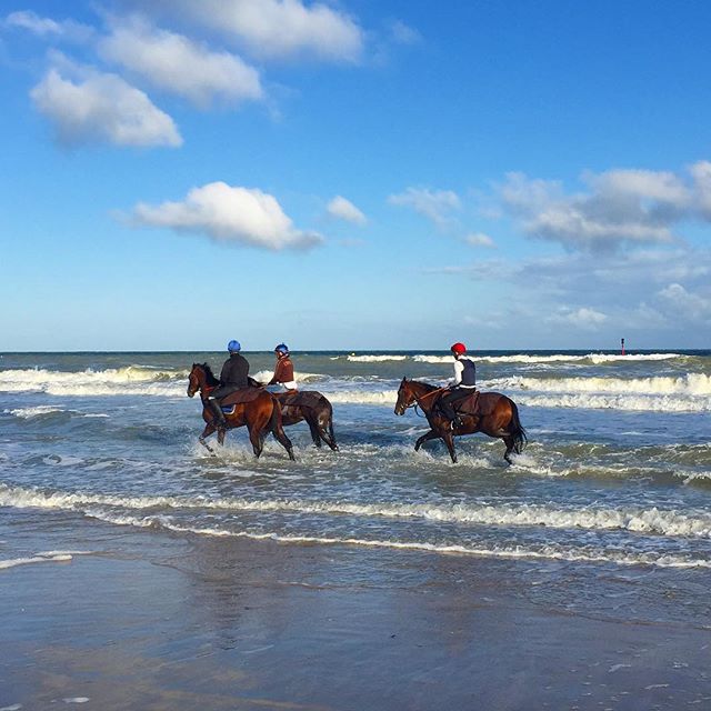 Incentive et team building à Deauville