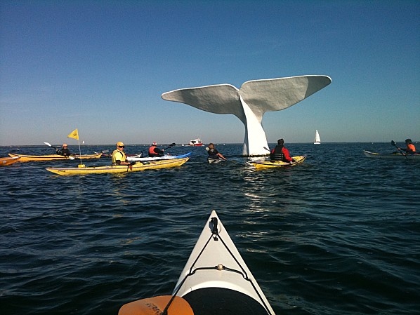 Incentive et team building à Arcachon