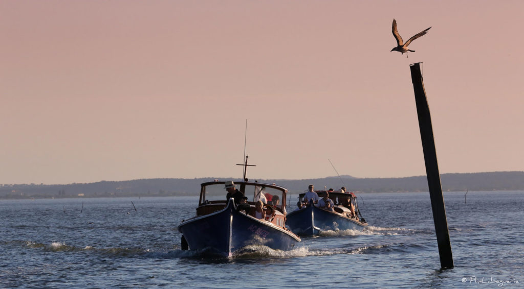 Incentive et team building à Arcachon